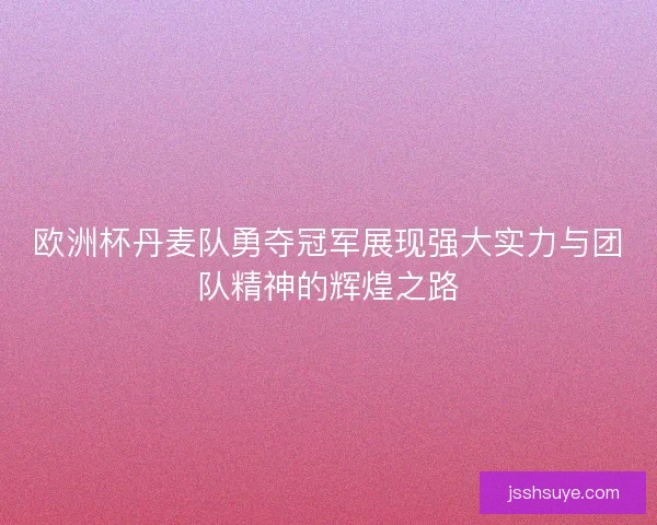 欧洲杯丹麦队勇夺冠军展现强大实力与团队精神的辉煌之路
